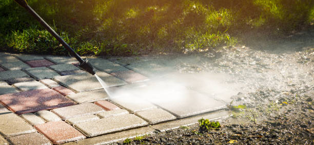 Animal Enclosure Cleaning in Nesconset, NY